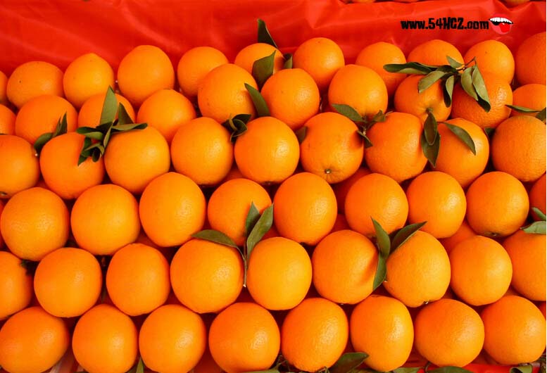 【江西脐橙价格_江西脐橙多少钱一斤?的家常