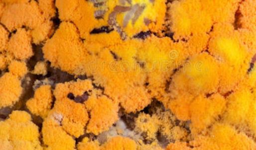 最新最新再次测试更新数据，是否能添加。