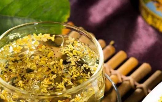 哪些人不宜喝桂花茶?