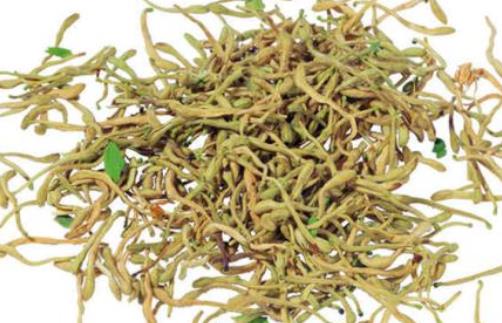 喝金银花茶有哪些作用?