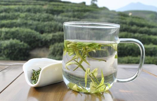 绿茶与红茶有什么区别呢?绿茶与红茶哪个比较好?