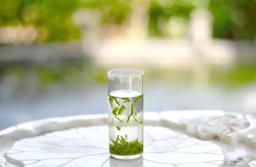 绿茶与红茶有什么区别呢?绿茶与红茶哪个比较好?