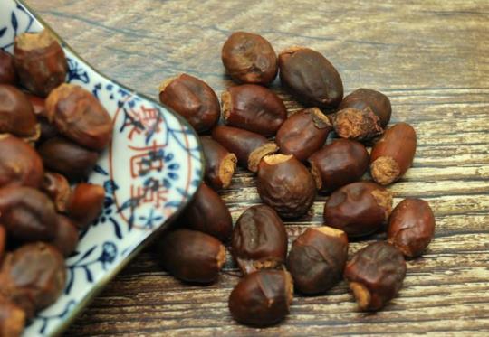 荔枝核煮水治疗小儿鞘膜积液吗 荔枝核煮水喝的功效与作用有哪些