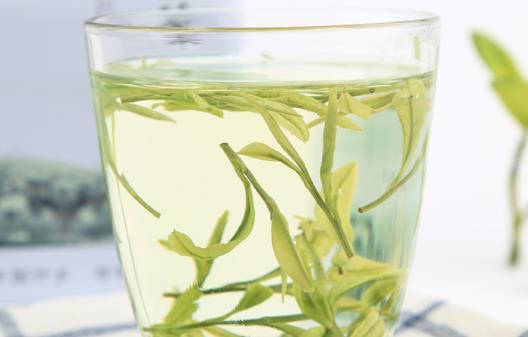 绿茶可以和什么搭配泡喝好 绿茶怎么泡好喝