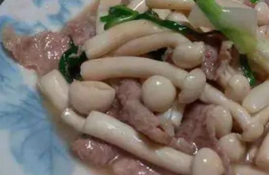 经期可以吃海鲜菇吗?海鲜菇不宜和什么一起吃?