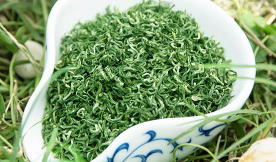 都匀毛尖是哪里生产的茶叶 要怎么保存都匀毛尖绿茶