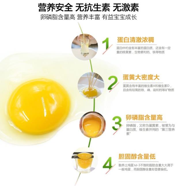 安全、高效补充营养 DHA鸡蛋老少皆宜吸收率高食疗好选择