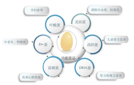 安全、高效补充营养 DHA鸡蛋老少皆宜吸收率高食疗好选择