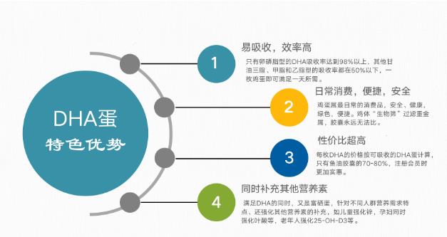 安全、高效补充营养 DHA鸡蛋老少皆宜吸收率高食疗好选择