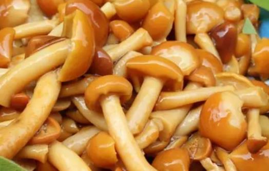 滑子菇是什么?孕妇可以吃滑子菇吗?