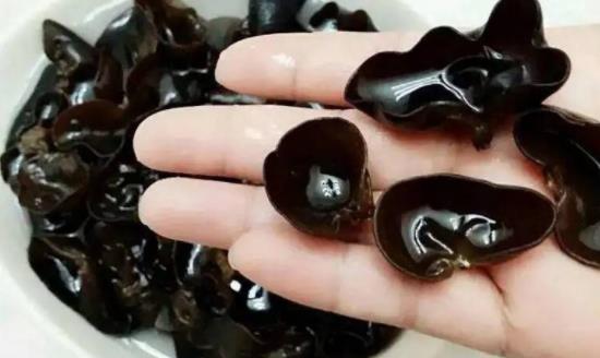 木耳可以治便秘吗?木耳发白正常吗?