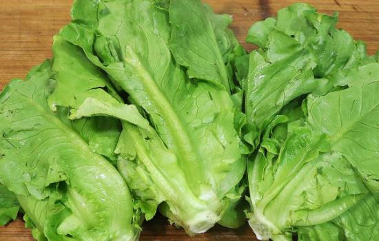 宝贝可以吃生菜吗?多大的宝贝可以吃生菜? 宝宝可以吃生菜吗?多大的宝宝可以吃生菜?原因是什么?