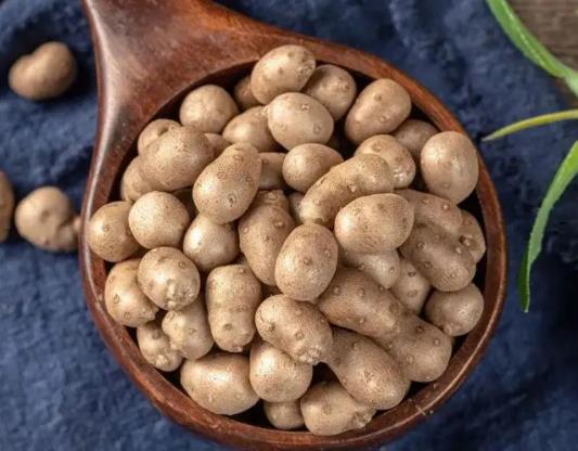山药豆和山药是一个品种吗?山药豆是山药的种子还是果实