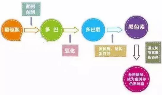 北京伊美尔紫竹医院:光子嫩肤多久做一次