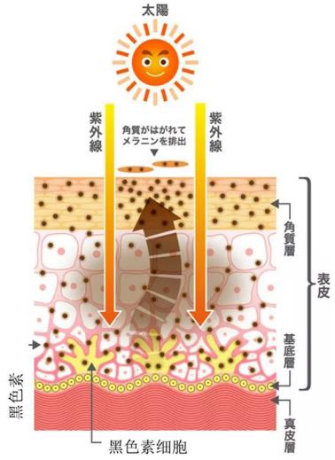 北京伊美尔紫竹医院:光子嫩肤多久做一次