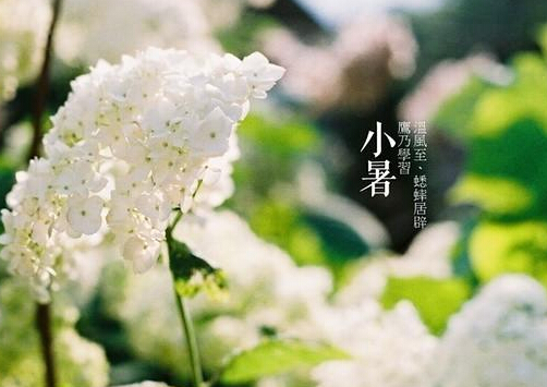 小暑什么意思?小暑怎么预防中暑