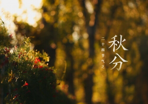 秋分是什么时候?秋分饮食的五大建议