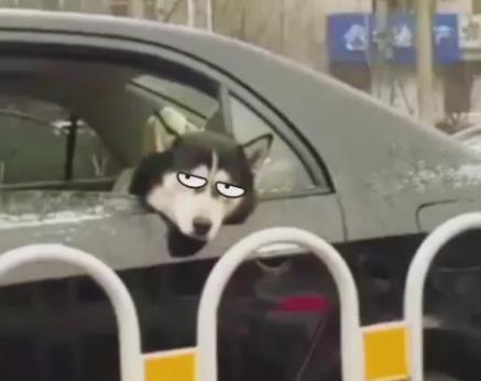 人为什么会晕车?晕动病的原因及症状,预防晕车的6个小妙招