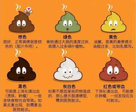 鲜血便:鲜血便一般来自回肠下端,结肠,直肠,肛门,大便颜色鲜红或暗红