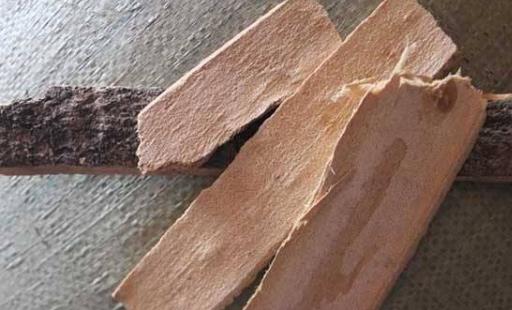 患疥疮的原因有哪些?疥疮有哪些并发症?