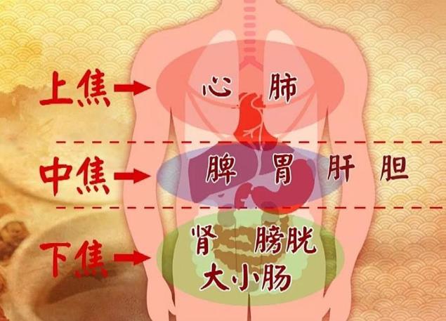 肿瘤治疗,健旺脾胃有多重要?武汉国粹中医陈向荣:生死