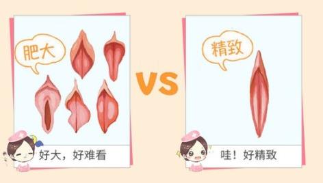 重庆军科私密整形,小阴唇太大太长要不要割掉?