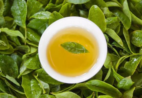 每次喝绿茶放多少好一点?绿茶有没有降火的效果