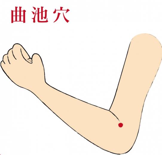 曲池的准确位置图曲池的功效与作用