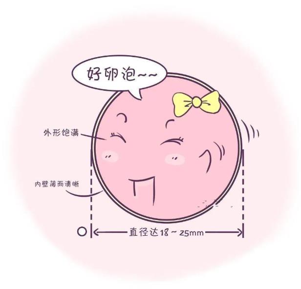 武汉仁爱妇产医院:卵泡小,不发育,不排卵…卵泡发育不良怎么办?