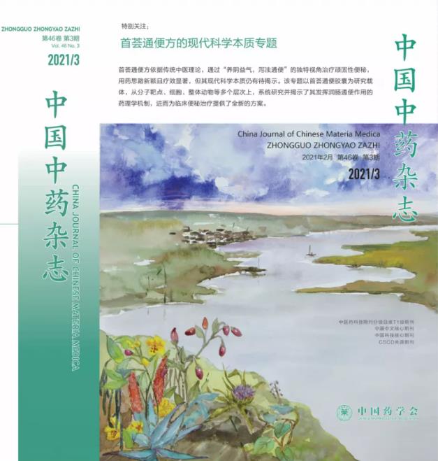 从万病之源 始于肠道,分析“治未病,从首荟开始”