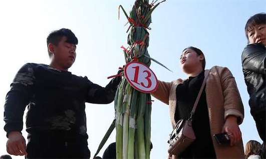 世界上最高的大葱 济南现2.51米大葱王