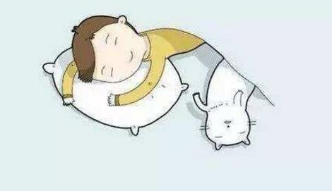 总是睡眠3.jpg