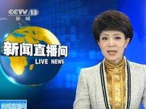 ​央视女主播文静卖萌 “我去吃巧克力，一会儿见”