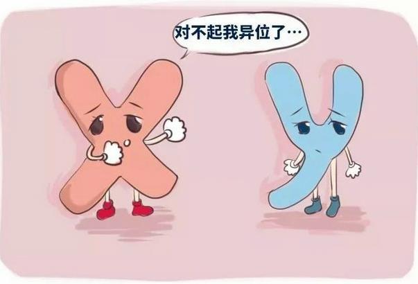 为什么你的卵子不成熟?优贝贝生殖中心专家揭密原因