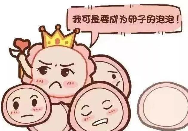 为什么你的卵子不成熟?优贝贝生殖中心专家揭密原因