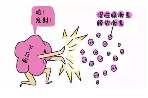 女性吃什么药和食物能促使排卵呢 女性让自己快速怀孕的妙招