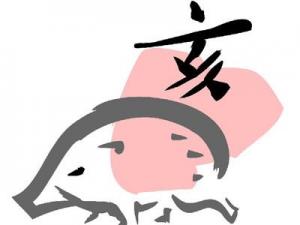 2015年属猪的每月运势,全年运程,属猪的2015年多大