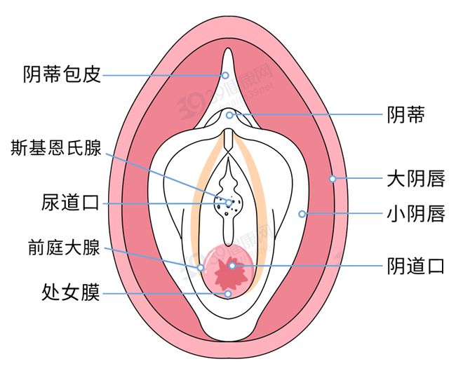 模型图4.jpg