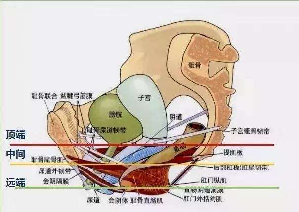 模型图1.jpg