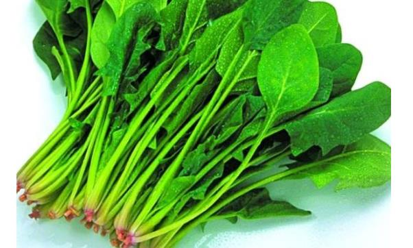 夏季蔬菜品种多样 女性夏季吃四种蔬菜最养身