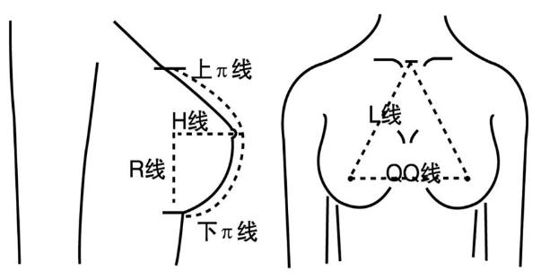 初三女生的标准胸围应该多大(初三女生胸部大不大)