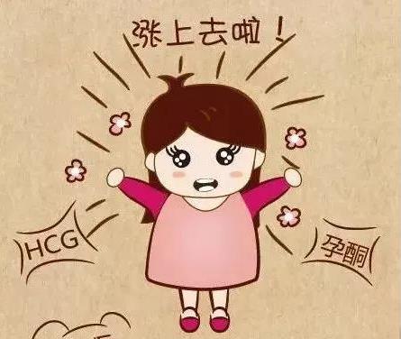 武汉仁爱医院妇产科:孕酮和HCG除了提示“怀孕”,它们背后还藏着哪些“秘密”?