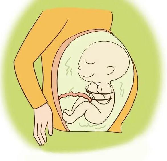 武汉仁爱医院妇产科:孕酮和HCG除了提示“怀孕”,它们背后还藏着哪些“秘密”?