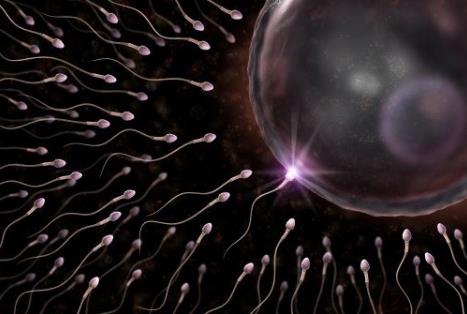 精子成活率低怎么办?精子成活率低吃什么食物好