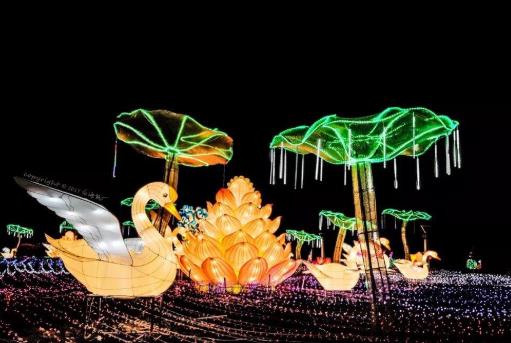 武汉2021年元宵节哪里最热闹?武汉2021元宵节哪里有灯展