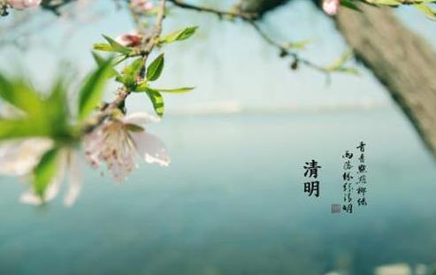 清明节送什么花去墓地比较好?清明节上坟花束一般包多少朵