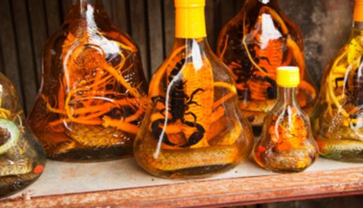 补肾壮阳药酒什么时候喝好 喝补肾壮阳药酒最佳时间