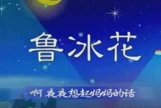 十大感人亲情歌曲排名,《酒干倘卖无》、《鲁冰花》已成经典