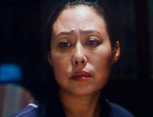 十大感人国产电影排行榜,《妈妈再爱我一次》《可可西里》引人泪目