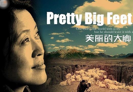 十大感人国产电影排行榜,《妈妈再爱我一次》《可可西里》引人泪目